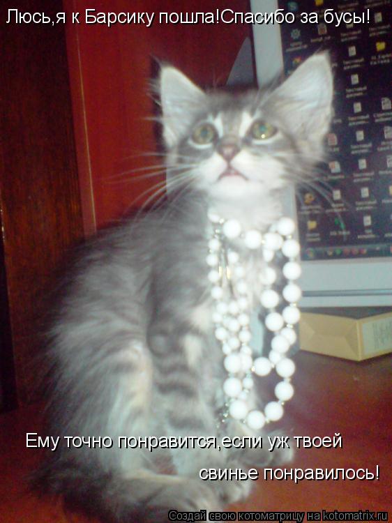 Котоматрица: Люсь,я к Барсику пошла!Спасибо за бусы! Ему точно понравится,если уж твоей  свинье понравилось!
