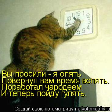 Котоматрица: Вы просили - я опять Повернул вам время вспять. Поработал чародеем И теперь пойду гулять.