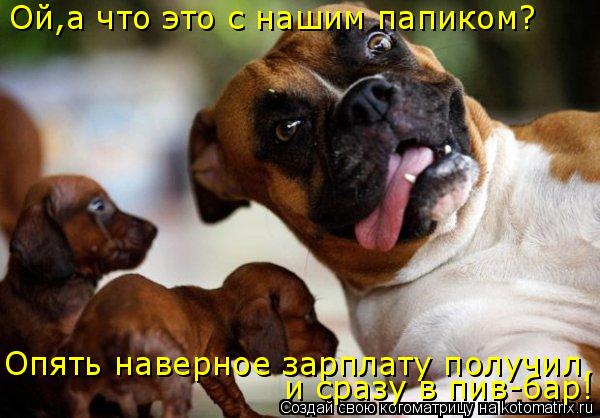 Ой,а что это с нашим папиком? Опять наверное зарплату получил, и сразу в пив-бар!... Котоматрица: Ой,а что это с нашим папиком? Опять наверное зарплату получил, и сразу в пив-бар!