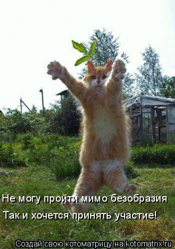 Котоматрица: Не могу пройти мимо безобразия Так и хочется принять участие!