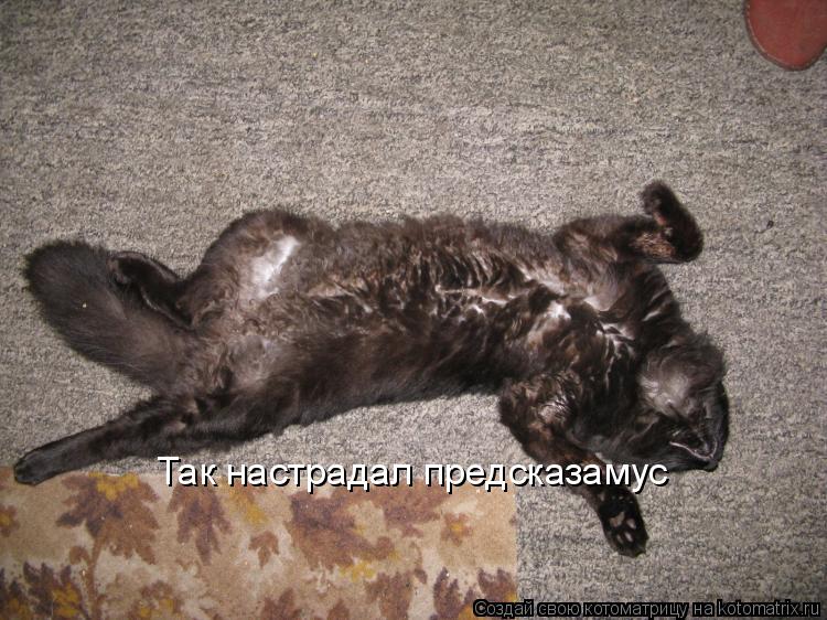 Котоматрица: Так настрадал предсказамус