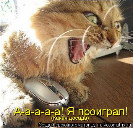 Котоматрица: А-а-а-а-а! Я проиграл! (Какая досада)