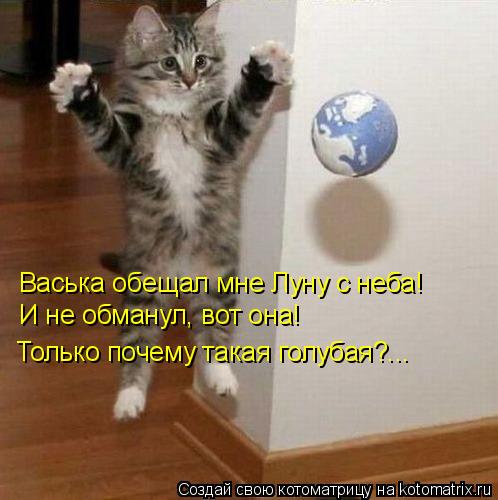 Котоматрица: Васька обещал мне Луну с неба! И не обманул, вот она! Только почему такая голубая?...