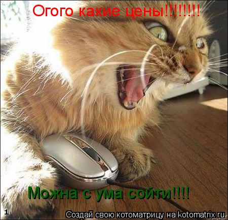 Огого какие цены!!!!!!!! Можна с ума сойти!!!!... Котоматрица: Огого какие цены!!!!!!!! Можна с ума сойти!!!!