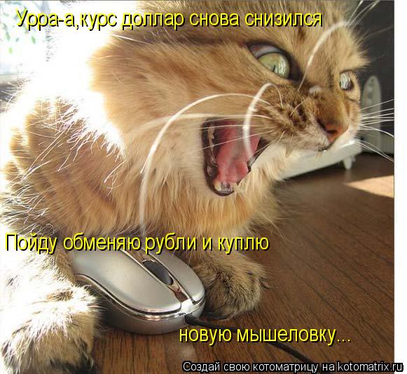 Урра-а,курс доллар снова снизился Пойду обменяю рубли и куплю новую мышеловку...... Котоматрица: Урра-а,курс доллар снова снизился Пойду обменяю рубли и куплю новую мышеловку...