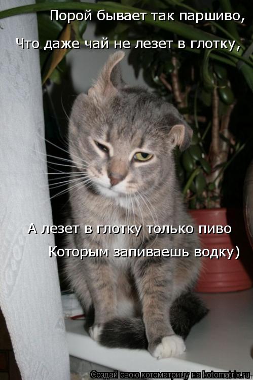 Порой бывает так паршиво, Что даже чай не лезет в глотку, А лезет в глотку только пиво Которым запива... Котоматрица: Порой бывает так паршиво, Что даже чай не лезет в глотку, А лезет в глотку только пиво Которым запиваешь водку)