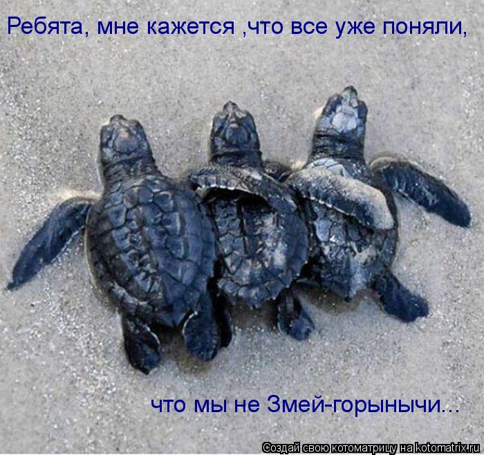 Ребята, мне кажется ,что все уже поняли, что мы не Змей-горынычи...... Котоматрица: Ребята, мне кажется ,что все уже поняли, что мы не Змей-горынычи...