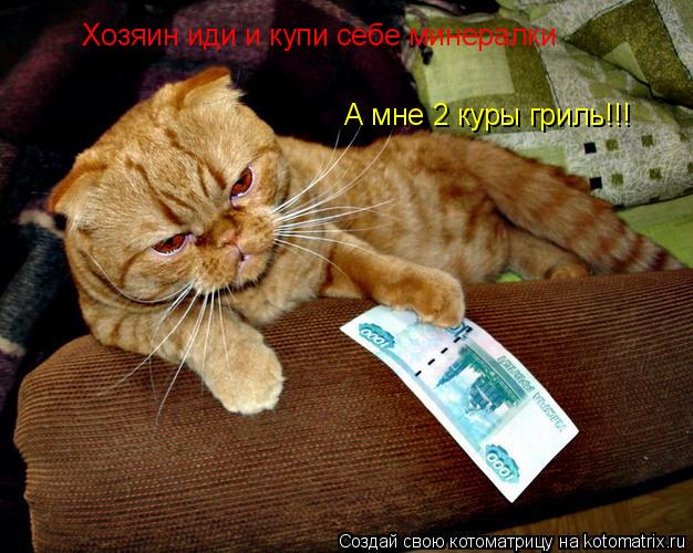Хозяин иди и купи себе минералки А мне 2 куры гриль!!!... Котоматрица: Хозяин иди и купи себе минералки А мне 2 куры гриль!!!