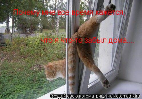 Почему мне все время кажется, что я что-то забыл дома....... Котоматрица: Почему мне все время кажется, что я что-то забыл дома....