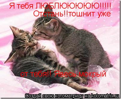 Я тебя ЛЮБЛЮЮЮЮЮ!!!!! Отстань!!тошнит уже от тебя!! Явесь мокрый... Котоматрица: Я тебя ЛЮБЛЮЮЮЮЮ!!!!! Отстань!!тошнит уже от тебя!! Явесь мокрый