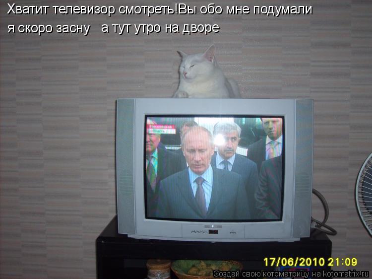 Котоматрица: Хватит телевизор смотреть!Вы обо мне подумали я скоро засну а тут утро на дворе