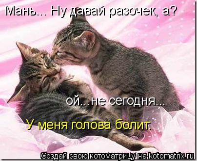 Котоматрица: ой...не сегодня... Мань... Ну давай разочек, а? У меня голова болит.