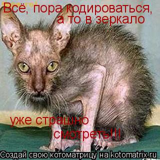 Котоматрица: Всё, пора кодироваться, а то в зеркало  уже страшно  смотреть!!!