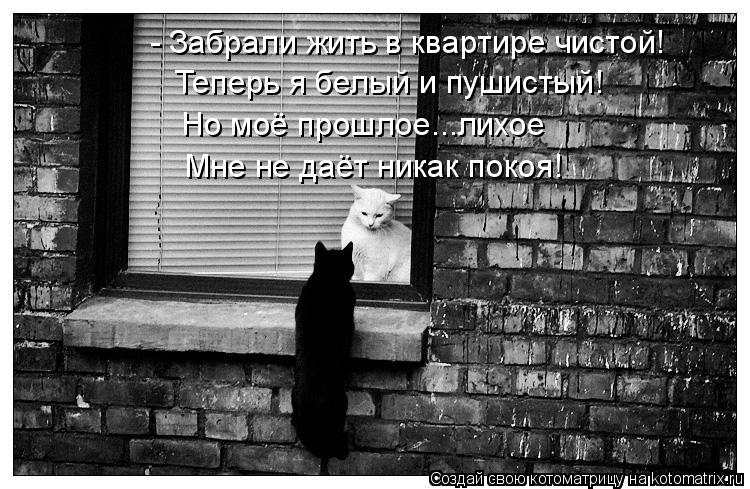 - Забрали жить в квартире чистой! Теперь я белый и пушистый! Но моё прошлое...лихое Мне не даёт никак... Котоматрица: - Забрали жить в квартире чистой! Теперь я белый и пушистый! Но моё прошлое...лихое Мне не даёт никак покоя!