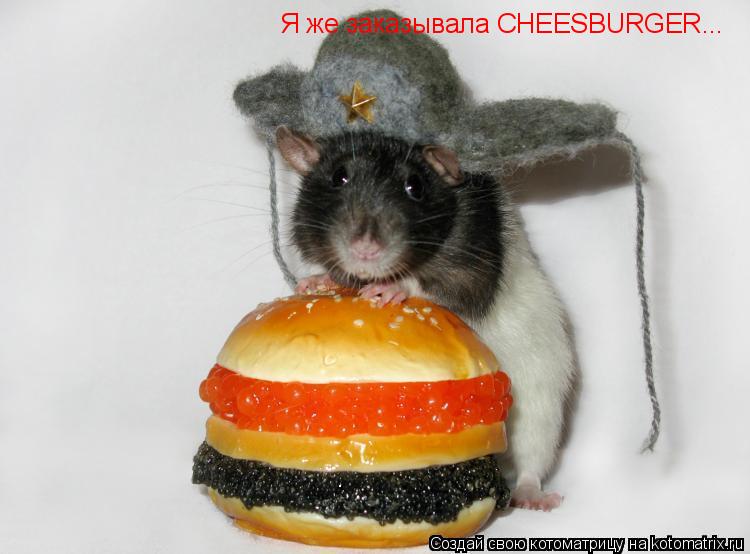 Я же заказывала CHEESBURGER...... Котоматрица: Я же заказывала CHEESBURGER...