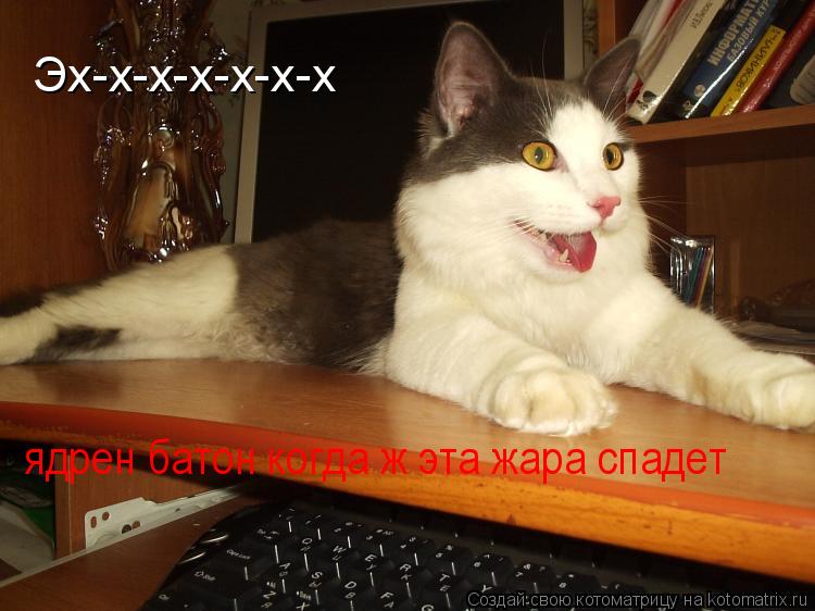 Эх-х-х-х-х-х-х ядрен батон когда ж эта жара спадет... Котоматрица: Эх-х-х-х-х-х-х ядрен батон когда ж эта жара спадет