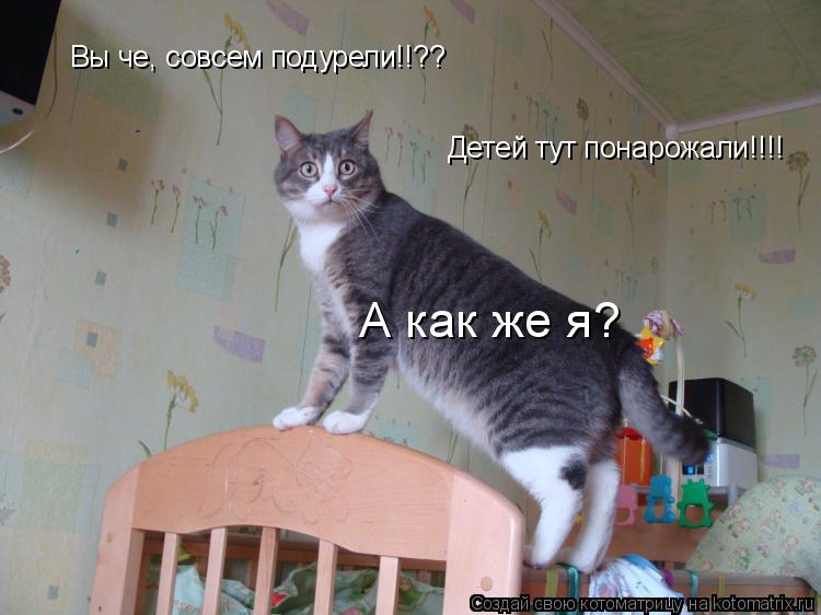 Вы че, совсем подурели!!?? Детей тут понарожали!!!! А как же я?... Котоматрица: Вы че, совсем подурели!!?? Детей тут понарожали!!!! А как же я?