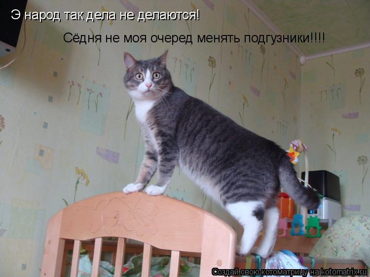 Э народ так дела не делаются! Сёдня не моя очеред менять подгузники!!!!... Котоматрица: Э народ так дела не делаются! Сёдня не моя очеред менять подгузники!!!!