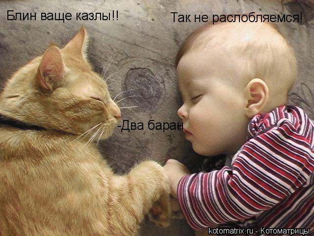 Блин ваще казлы!! Так не раслобляемся! -Два баран... Котоматрица: Блин ваще казлы!! Так не раслобляемся! -Два баран