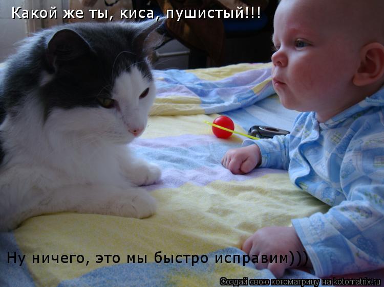 Какой же ты, киса, пушистый!!! Ну ничего, это мы быстро исправим)))... Котоматрица: Какой же ты, киса, пушистый!!! Ну ничего, это мы быстро исправим)))