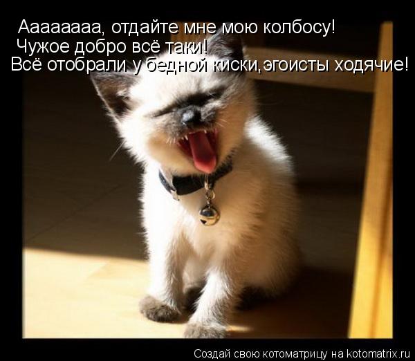 Котоматрица: Аааааааа, отдайте мне мою колбосу! Чужое добро всё таки! Всё отобрали у бедной киски,эгоисты ходячие!
