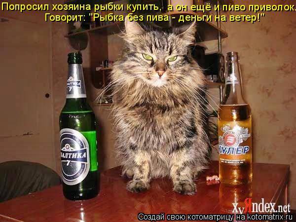 Котоматрица: Попросил хозяина рыбки купить, а он ещё и пиво приволок. Говорит: "Рыбка без пива - деньги на ветер!"