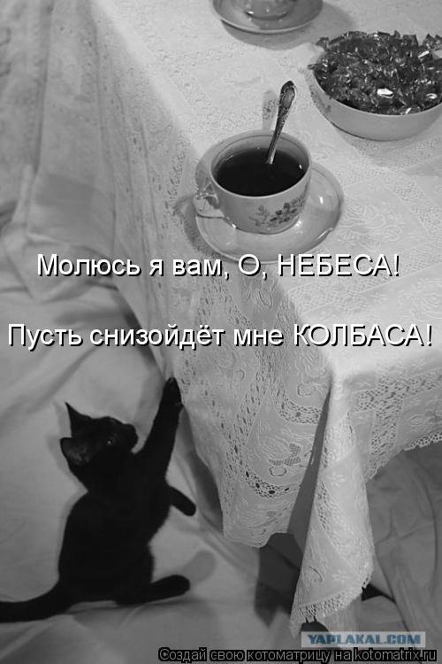 Котоматрица: Молюсь я вам, О, НЕБЕСА! Пусть снизойдёт мне КОЛБАСА!