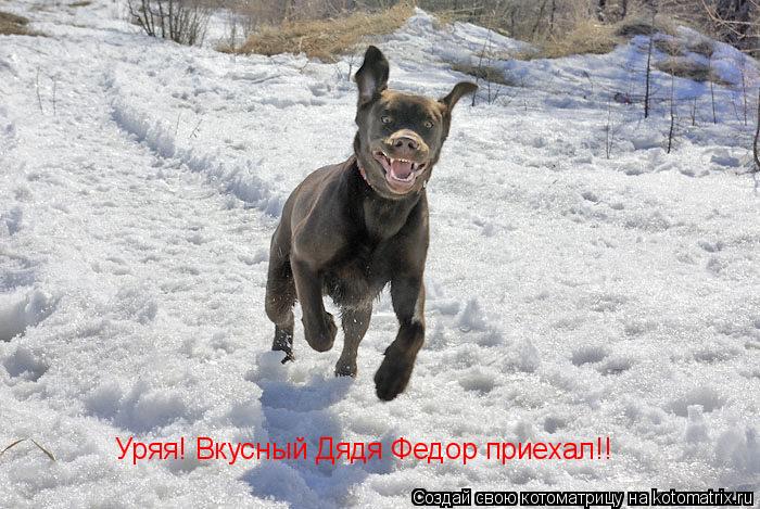 Котоматрица: Уряя! Вкусный Дядя Федор приехал!!