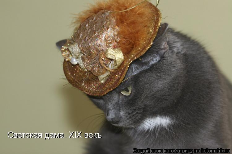 Котоматрица: Светская дама. XIX векъ