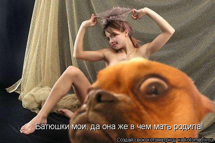 Котоматрица: Батюшки мои, да она же в чем мать родила!