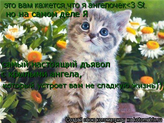 это вам кажется,что я ангелочек<3 St™ но на самом деле Я самый настоящий дъявол с крылыми ангела, ко... Котоматрица: это вам кажется,что я ангелочек<3 St™ но на самом деле Я самый настоящий дъявол с крылыми ангела, который устроет вам не сладкую жизнь)))