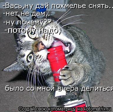 -Вась,ну дай похмелье снять.. -нет.не дам.. -ну почему?? -потому надо, было со мной вчера делиться... Котоматрица: -Вась,ну дай похмелье снять.. -нет.не дам.. -ну почему?? -потому надо, было со мной вчера делиться