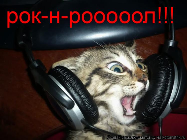 рок-н-рооооол!!!... Котоматрица: рок-н-рооооол!!!