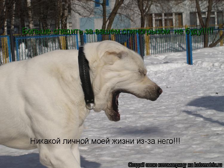 Больше следить за вашем спиногрызом не буду!!!!! Никакой личной моей жизни из-за него!!!... Котоматрица: Больше следить за вашем спиногрызом не буду!!!!! Никакой личной моей жизни из-за него!!!