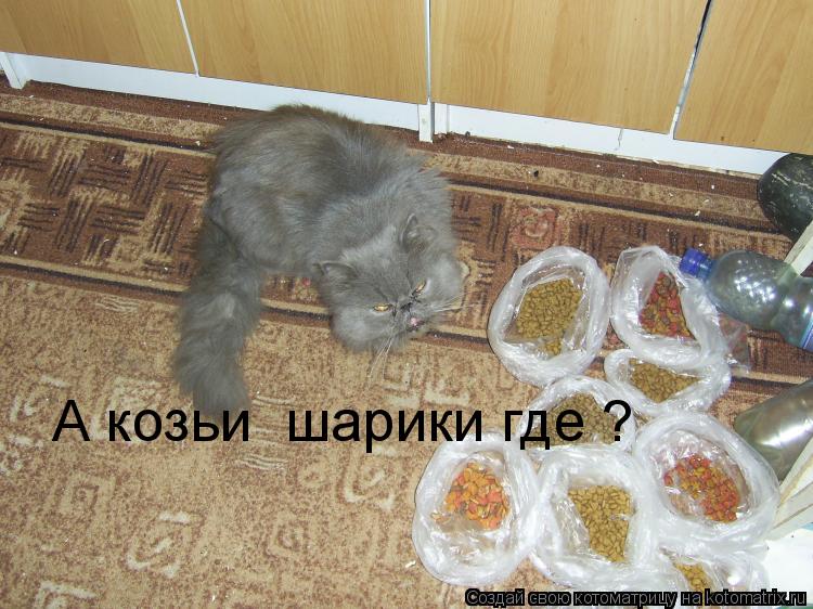 А козьи шарики где ?... Котоматрица: А козьи шарики где ?