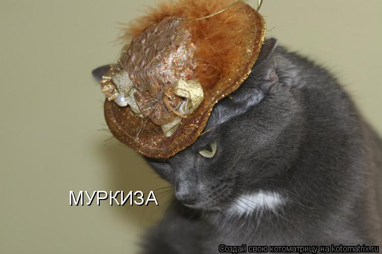 МУРКИЗА... Котоматрица: МУРКИЗА