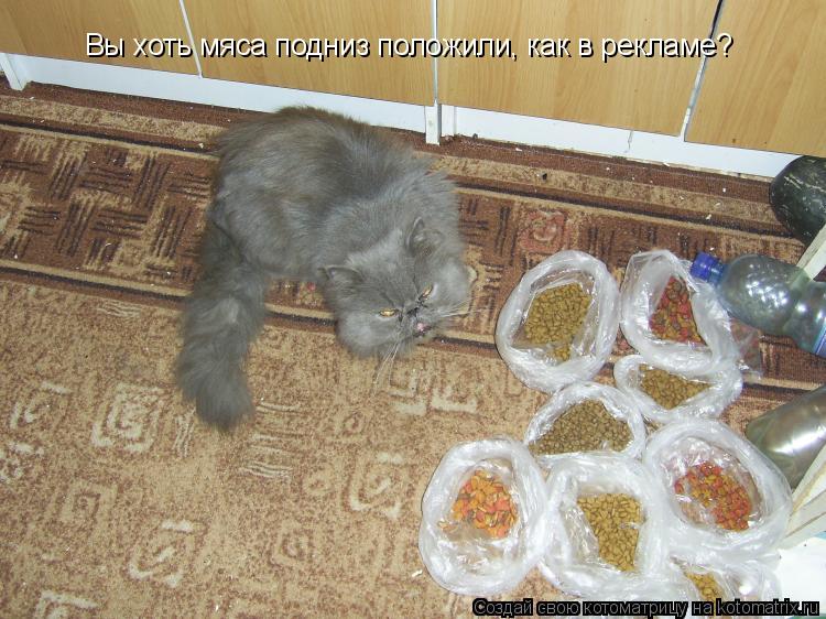 Вы хоть мяса подниз положили, как в рекламе?... Котоматрица: Вы хоть мяса подниз положили, как в рекламе?
