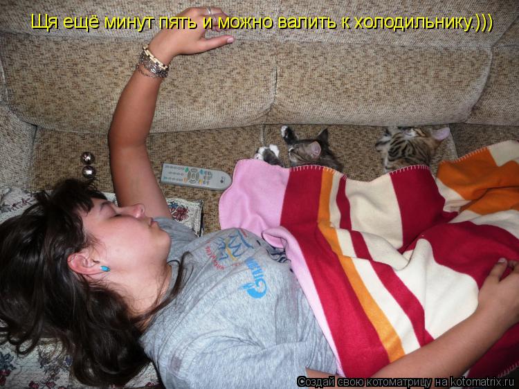 Щя ещё минут пять и можно валить к холодильнику.)))... Котоматрица: Щя ещё минут пять и можно валить к холодильнику.)))