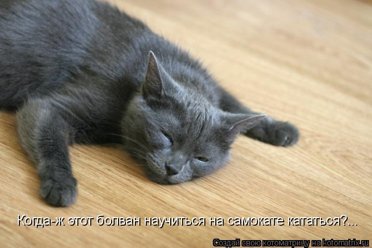 Когда-ж этот болван научиться на самокате кататься?...... Котоматрица: Когда-ж этот болван научиться на самокате кататься?...