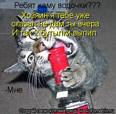 Ребят каму водочки??? -Мне Хозяин я тебе уже сказал не дам ты вчера И так 2 бутылки выпил... Котоматрица: Ребят каму водочки??? -Мне Хозяин я тебе уже сказал не дам ты вчера И так 2 бутылки выпил