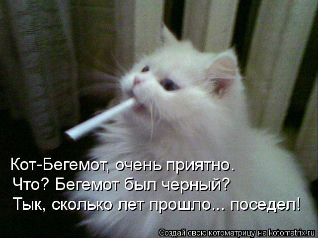 Кот-Бегемот, очень приятно. Что? Бегемот был черный? Тык, сколько лет прошло... поседел!... Котоматрица: Кот-Бегемот, очень приятно. Что? Бегемот был черный? Тык, сколько лет прошло... поседел!