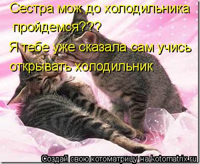 Сестра мож до холодильника пройдемся??? Я тебе уже сказала сам учись открывать холодильник... Котоматрица: Сестра мож до холодильника пройдемся??? Я тебе уже сказала сам учись открывать холодильник