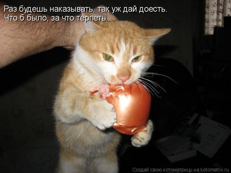 Раз будешь наказывать, так уж дай доесть. Что б было, за что терпеть...... Котоматрица: Раз будешь наказывать, так уж дай доесть. Что б было, за что терпеть...
