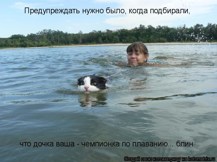 Предупреждать нужно было, когда подбирали, что дочка ваша - чемпионка по плаванию... блин... Котоматрица: Предупреждать нужно было, когда подбирали, что дочка ваша - чемпионка по плаванию... блин