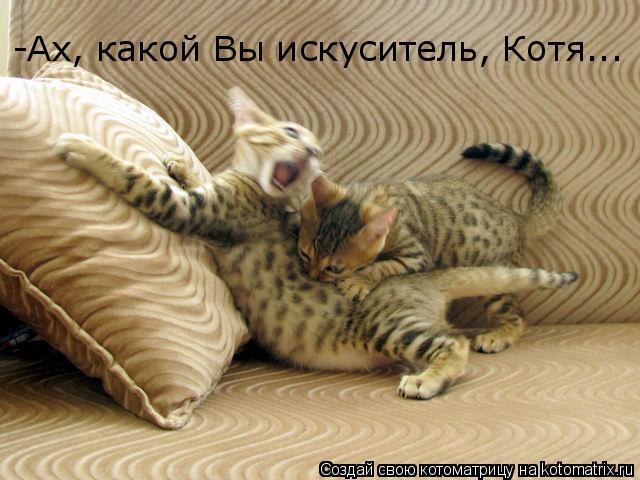 -Ах, какой Вы искуситель, Котя...... Котоматрица: -Ах, какой Вы искуситель, Котя...