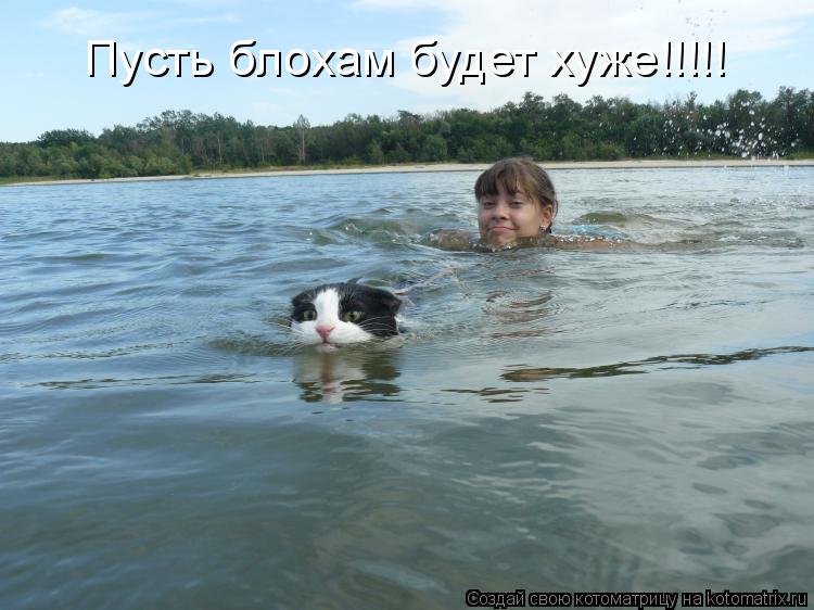 Пусть блохам будет хуже!!!!!... Котоматрица: Пусть блохам будет хуже!!!!!