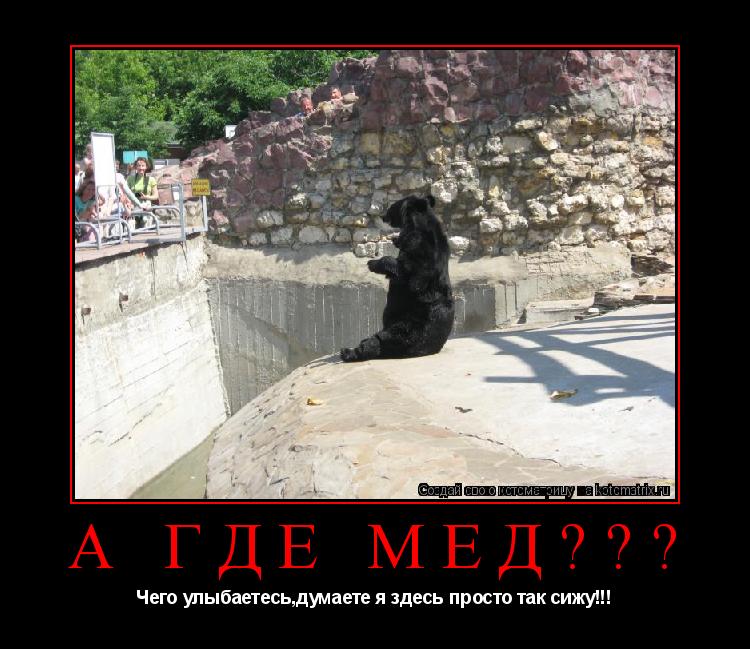 А где мед??? Чего улыбаетесь,думаете я здесь просто так сижу!!!... Котоматрица: А где мед??? Чего улыбаетесь,думаете я здесь просто так сижу!!!