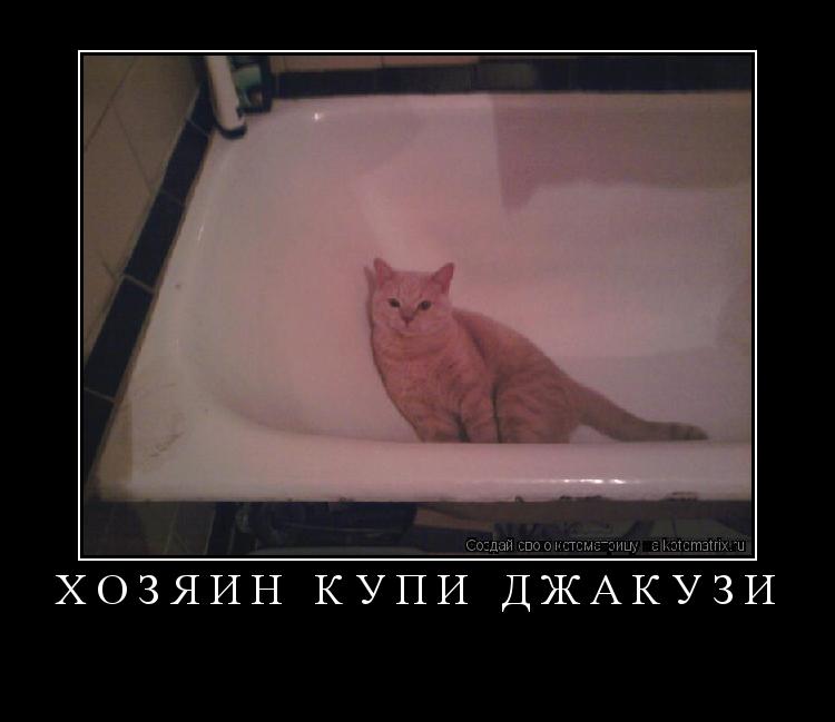 Хозяин купи Джакузи ... Котоматрица: Хозяин купи Джакузи