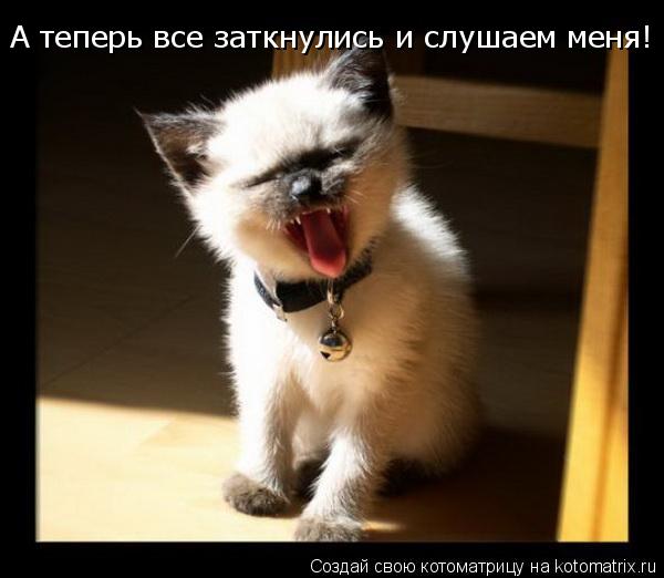 А теперь все заткнулись и слушаем меня!... Котоматрица: А теперь все заткнулись и слушаем меня!