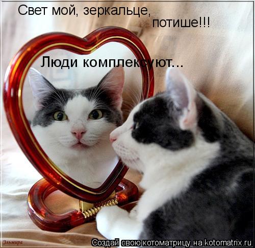 Свет мой, зеркальце, потише!!! Люди комплексуют...... Котоматрица: Свет мой, зеркальце, потише!!! Люди комплексуют...